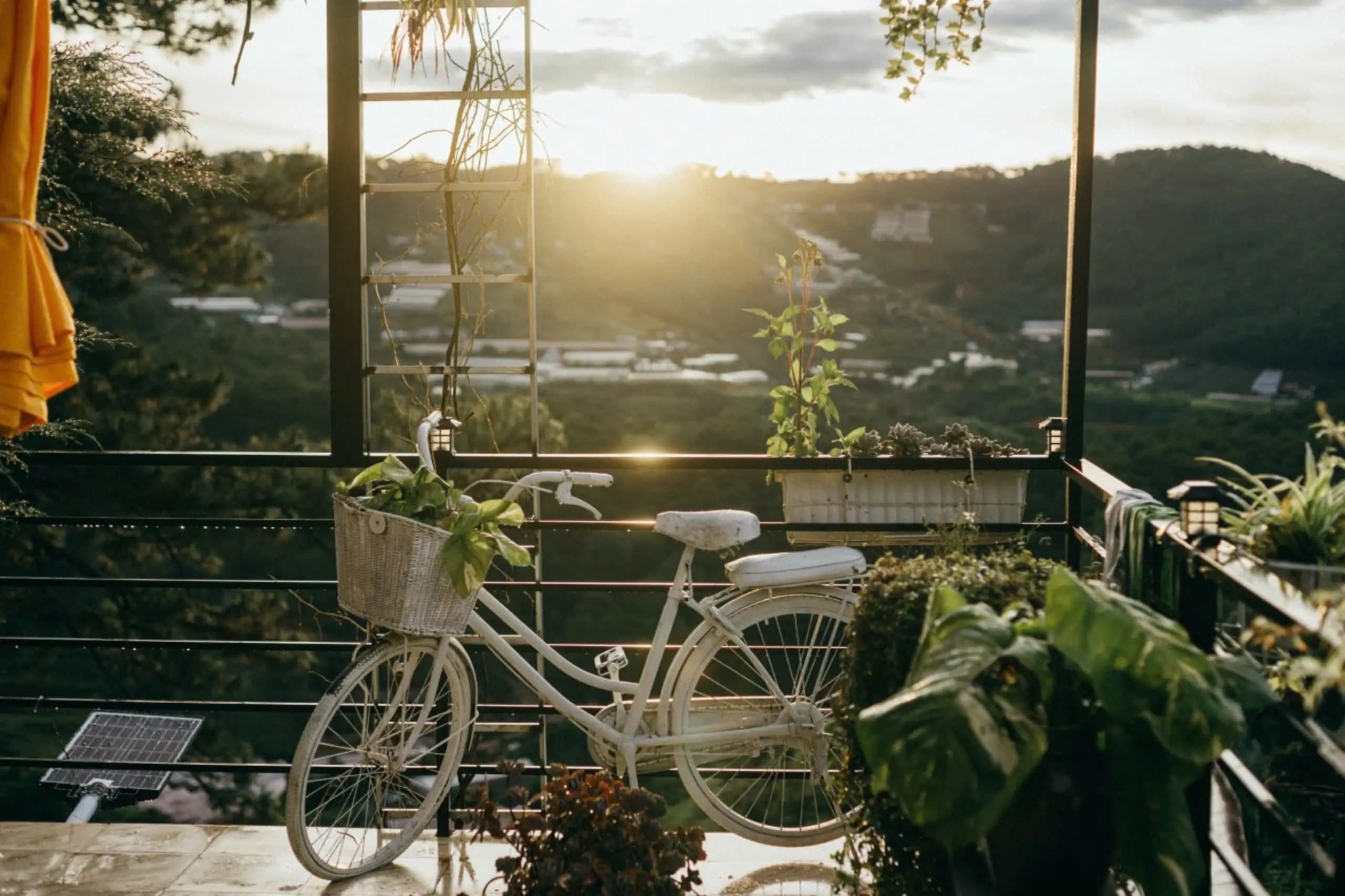 Welcome to Dalat Harmony Garden